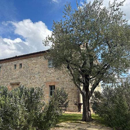 Borgo Cardaneto Bed & Breakfast Montone  Eksteriør bilde
