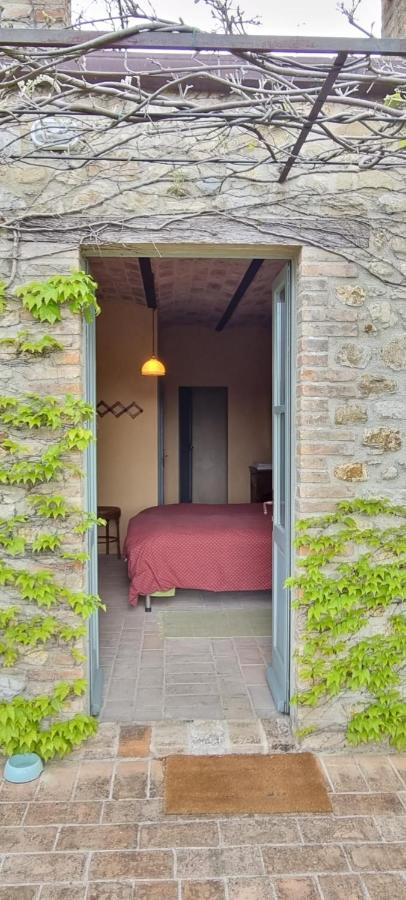 Borgo Cardaneto Bed & Breakfast Montone  Eksteriør bilde