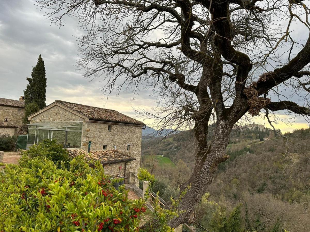 Borgo Cardaneto Bed & Breakfast Montone  Eksteriør bilde