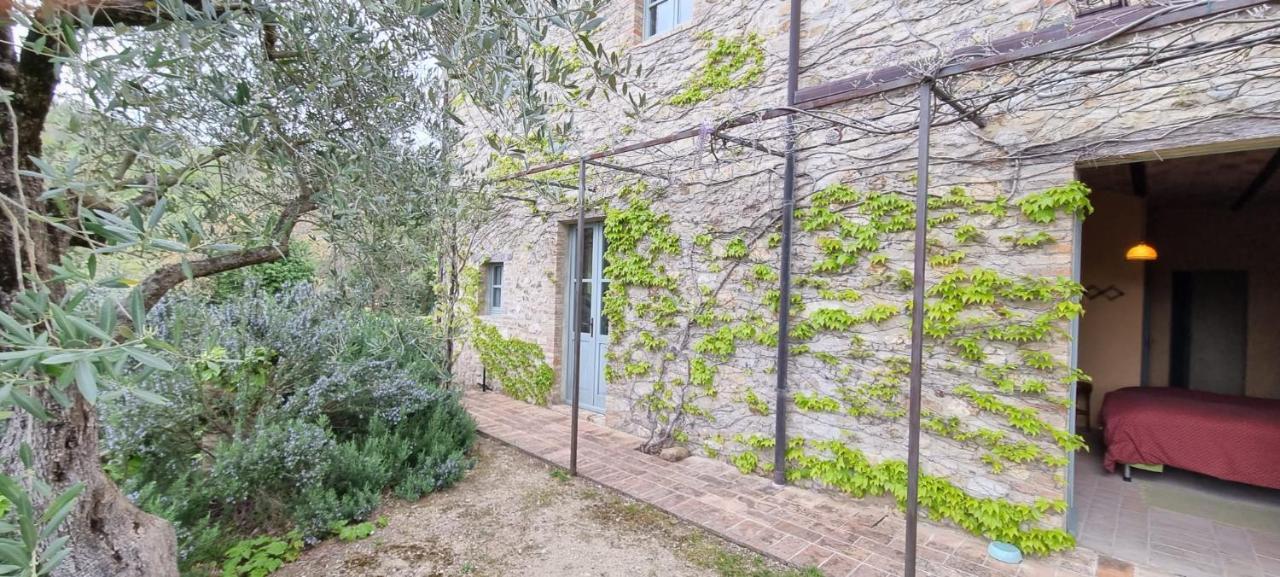Borgo Cardaneto Bed & Breakfast Montone  Eksteriør bilde