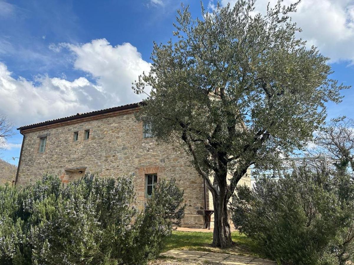 Borgo Cardaneto Bed & Breakfast Montone  Eksteriør bilde