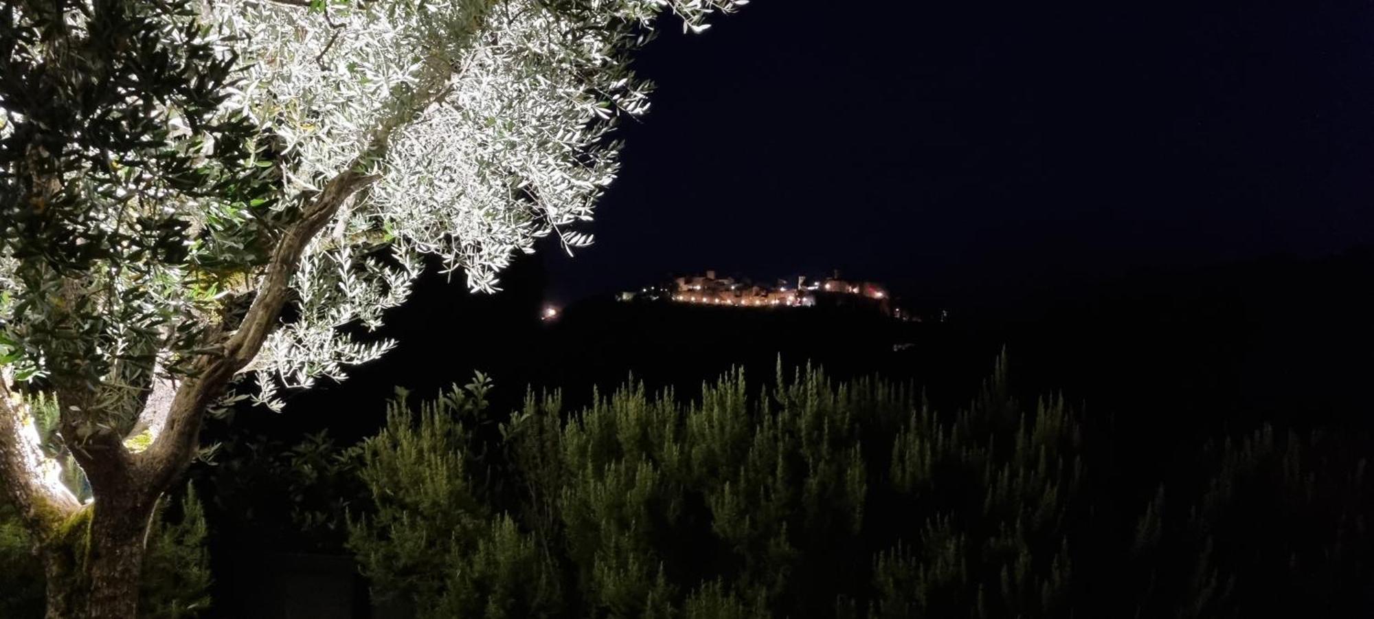 Borgo Cardaneto Bed & Breakfast Montone  Eksteriør bilde