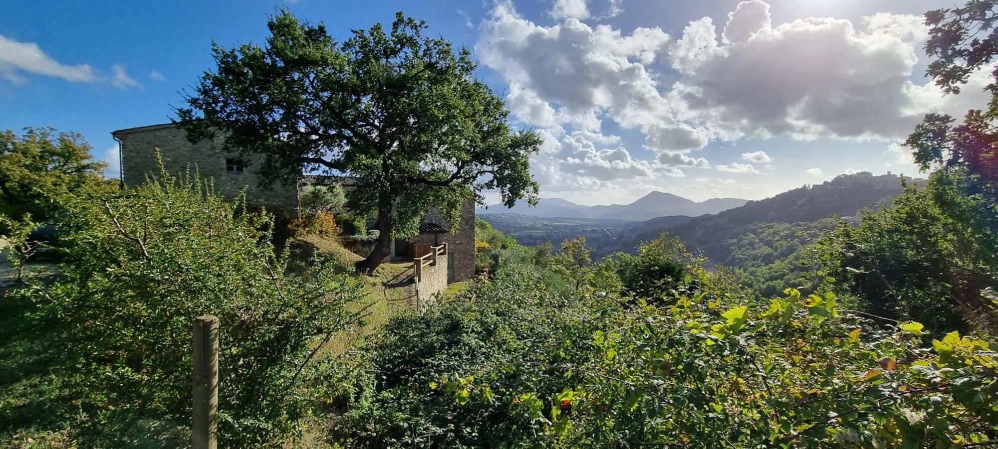 Borgo Cardaneto Bed & Breakfast Montone  Eksteriør bilde