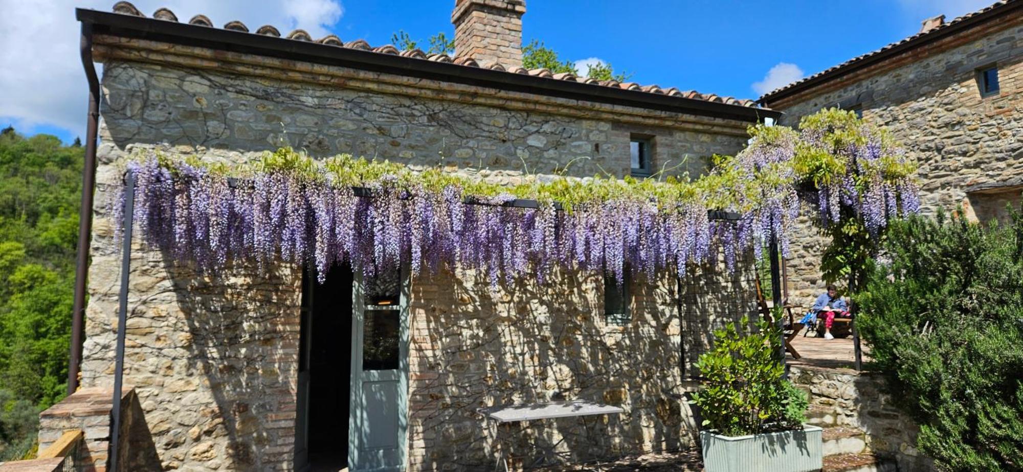 Borgo Cardaneto Bed & Breakfast Montone  Eksteriør bilde