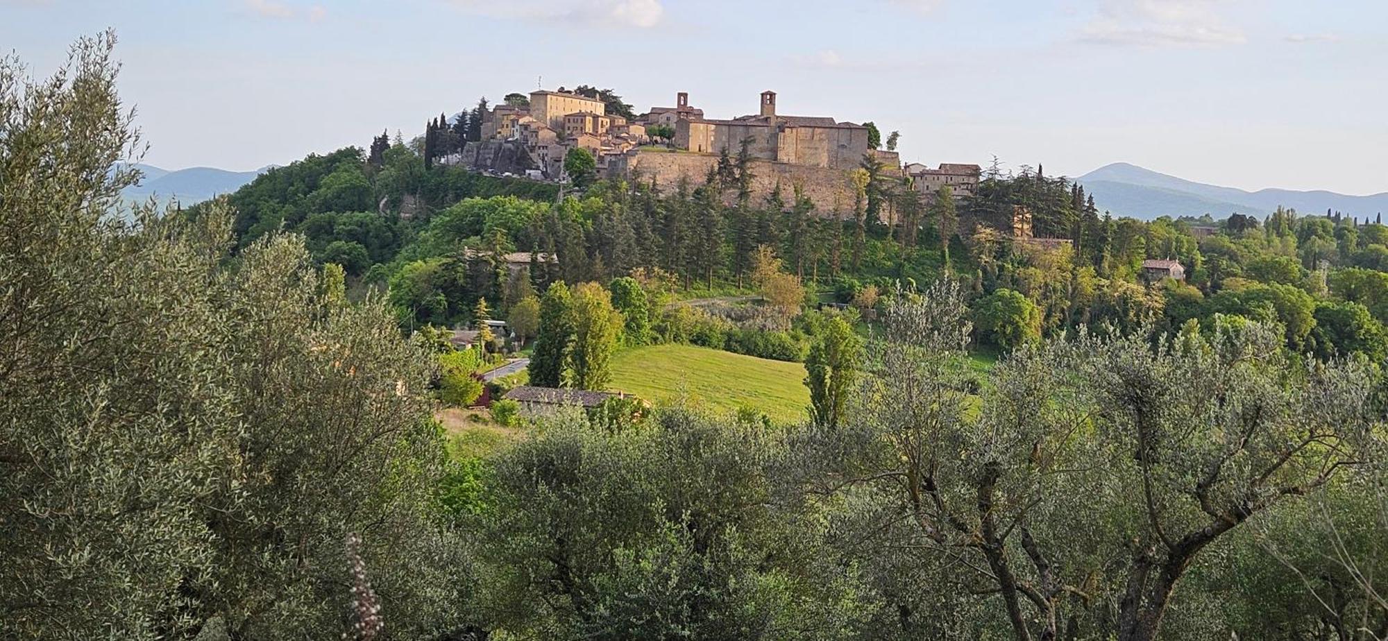 Borgo Cardaneto Bed & Breakfast Montone  Eksteriør bilde